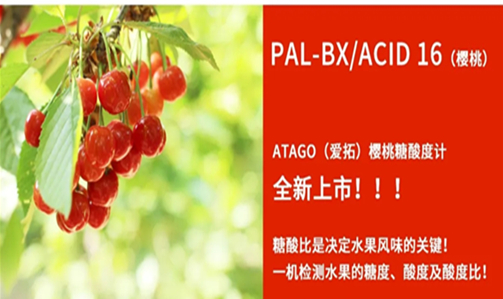 新品快讯 ---【新 登 场】--- pal-bx丨acid 16 樱桃糖酸度计